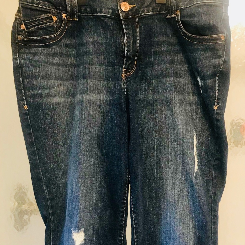 Lane Bryant Distressed Jeans